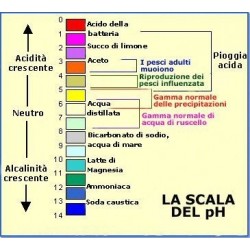 MISURATORE DEL PH DELL'ACQUA PH 108